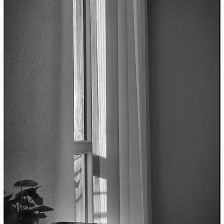 Residenza Le Palme Trecate